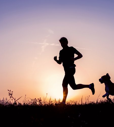 Evening jogging with beagle pet